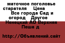 маточное поголовье старателя  › Цена ­ 3 700 - Все города Сад и огород » Другое   . Ненецкий АО,Верхняя Пеша д.